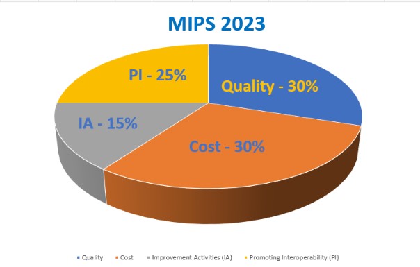 What is the Return on Investment for MIPS consulting services?