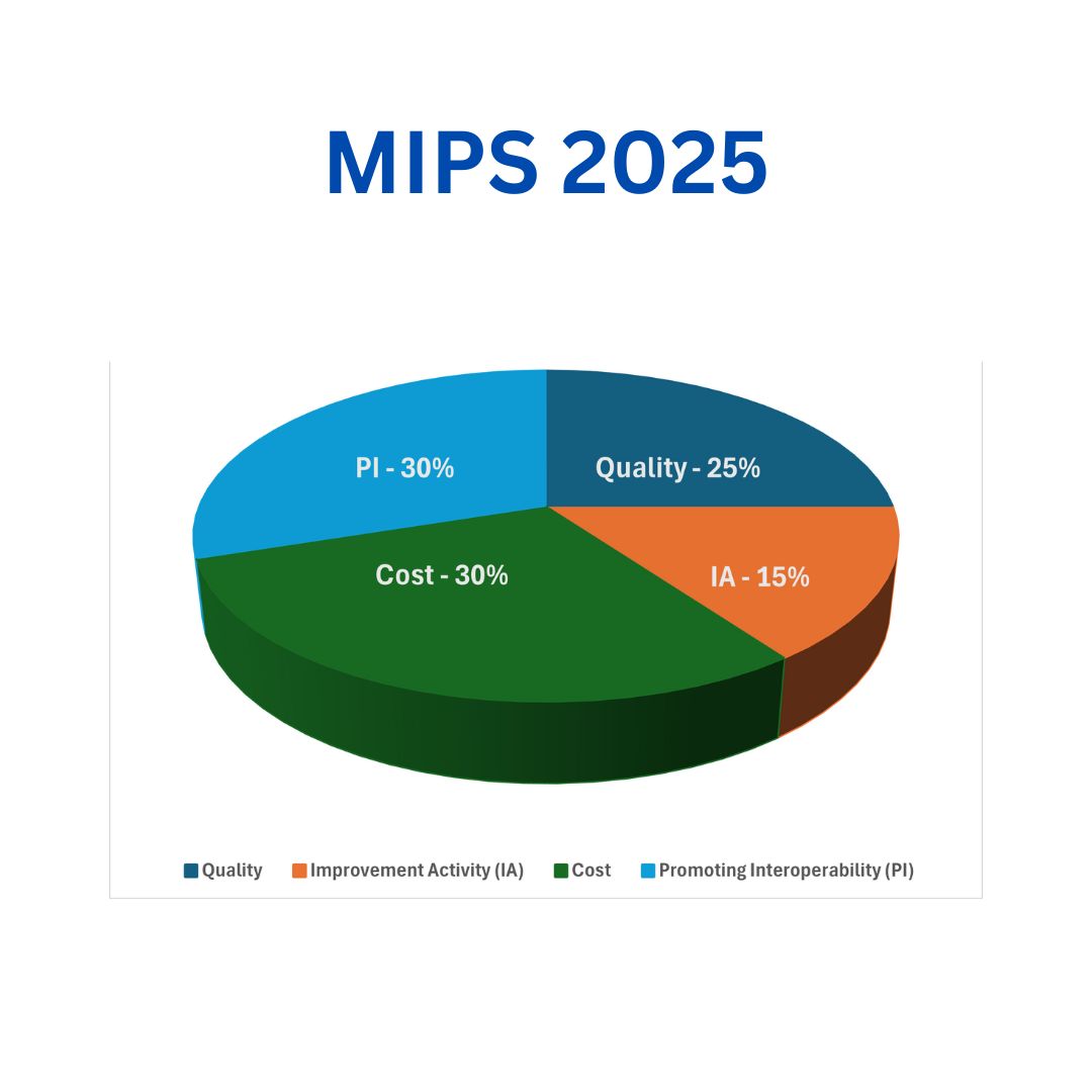 MIPS Consulting Services